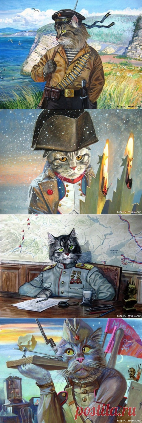 Эпические коты от Александра Завалийя