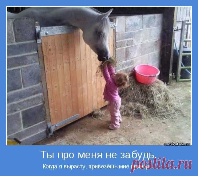 Интересные новости