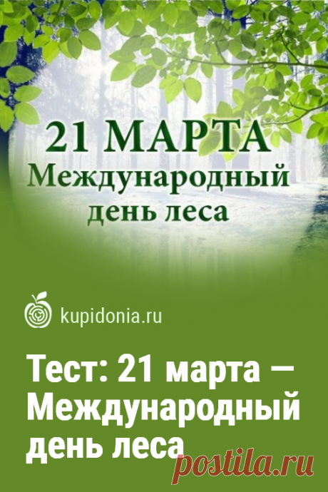 Тест: 21 марта — Международный день леса. Интересный тест о лесах нашей планеты. Проверьте свои знания!