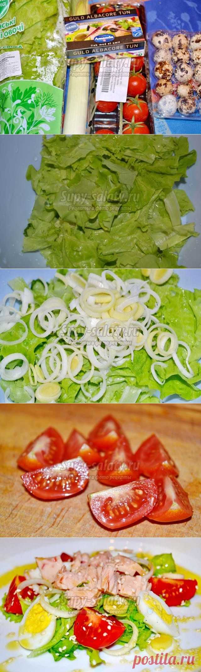 Салат с тунцом и помидорами черри.