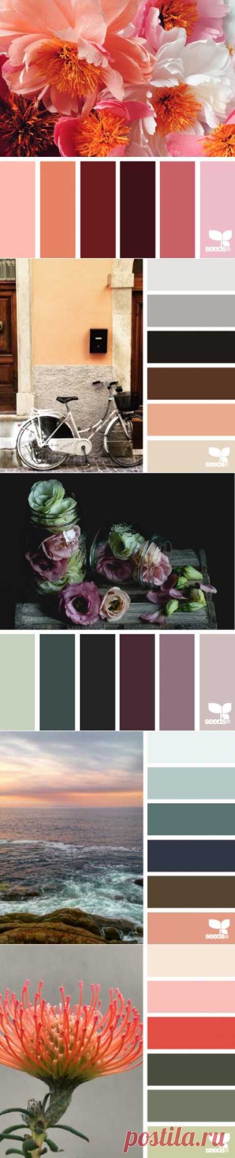 design seeds | for all who ♥ color