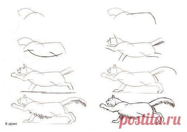 Раскрытый SECRET - умный журнал