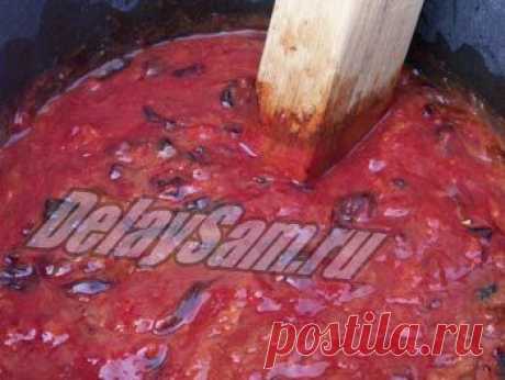 Домашнее виноделие. Сливовые и терновые вина. Рецепт приготовления сливового вина.