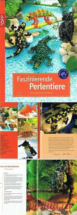 Faszinierende Perlentiere: Quer durchs Tierreich .