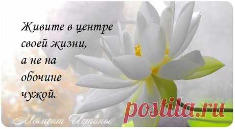 живите