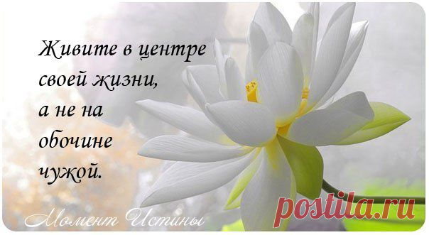 живите