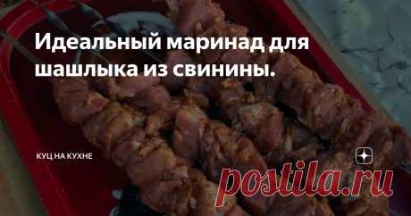 Идеальный маринад для шашлыка из свинины. Статья автора «Куц на Кухне» в Дзене ✍:  Шашлык – это не просто блюдо, это целая культура приготовления мяса, которая требует особого внимания к маринаду.