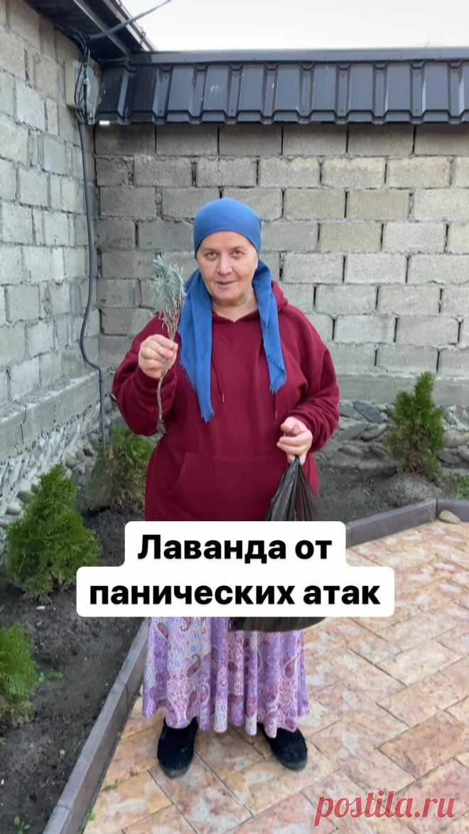 Публикация Alzhanat Gadzhimagomedova в профиле Instagram: 