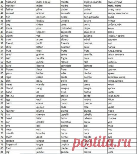 Английский язык (English)