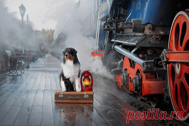 Платформа 9 и 3/4:)))). Фотограф Светлана Писарева