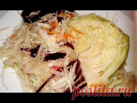 Королева кухни Рецепт соленой капусты пелюстки со свеклой. Готовлю обед, хвастаюсь сыром и мацони — СельхозМолл