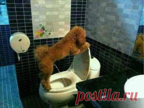 (45) Одноклассники