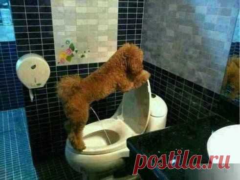 (45) Одноклассники