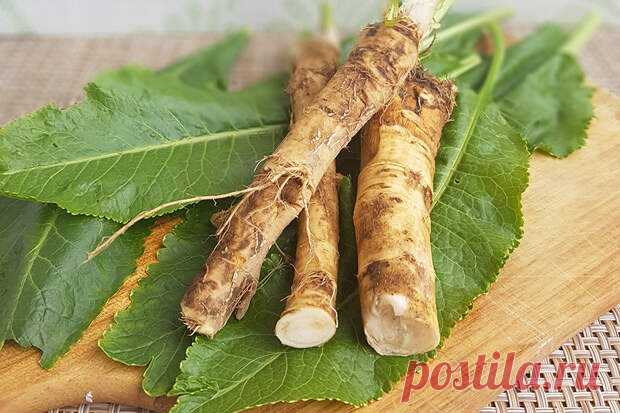 Чудесная натуральная смесь для улучшения слуха, зрения и памяти на 80% - Народная медицина - медиаплатформа МирТесен Одно из самых мощных естественных средств поможет не только улучшить вашу память, но и растопить жиры, с которым вы сражаетесь годами. Ключевым компонентом является хрен, который богат витамином С, калием, витаминами В1, В2 и В6, а также железом, магнием и фосфором. Хрен ускоряет обмен веществ,