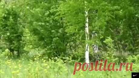 (20) Одноклассники