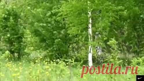 (20) Одноклассники