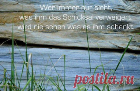 Поиск новостей по запросу #zitate_auf_deutsch