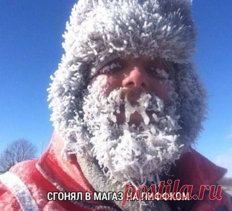 Прикольные картинки для всех (43 шт)
