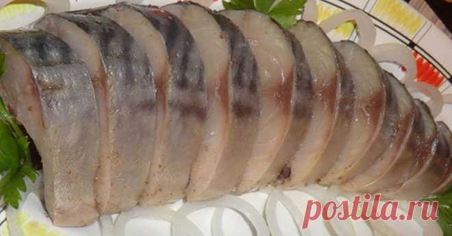 6 способов засолки скумбрии Предлагаем 6 самых вкусных способов, как засолить скумбрию в домашних условиях.