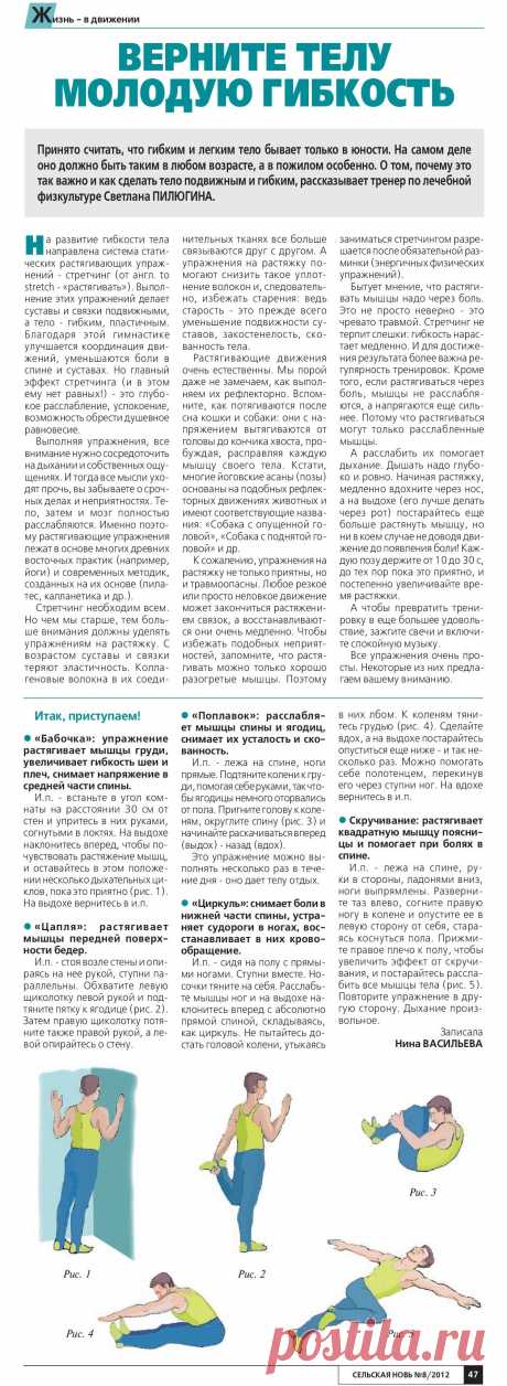 Упражнения на развитие гибкости тела