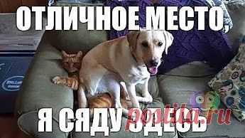 мне очень комфортно.....