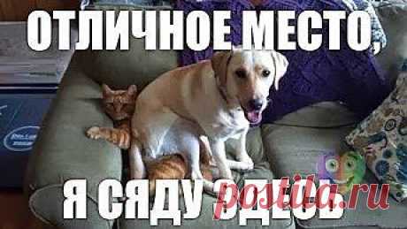 мне очень комфортно.....