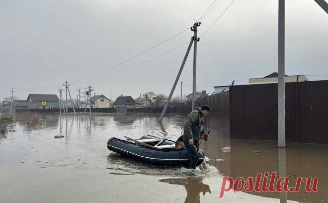 Мэр Оренбурга заявил о подтоплении более 3,6 тыс. дворовых территорий. К утру уровень воды в Урале у города достиг отметки 1060 см, а рекордное значение было пройдено вечером 10 апреля