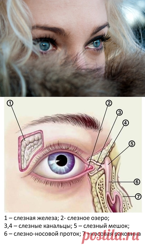 Слезятся глаза на улице: причины и что делать
