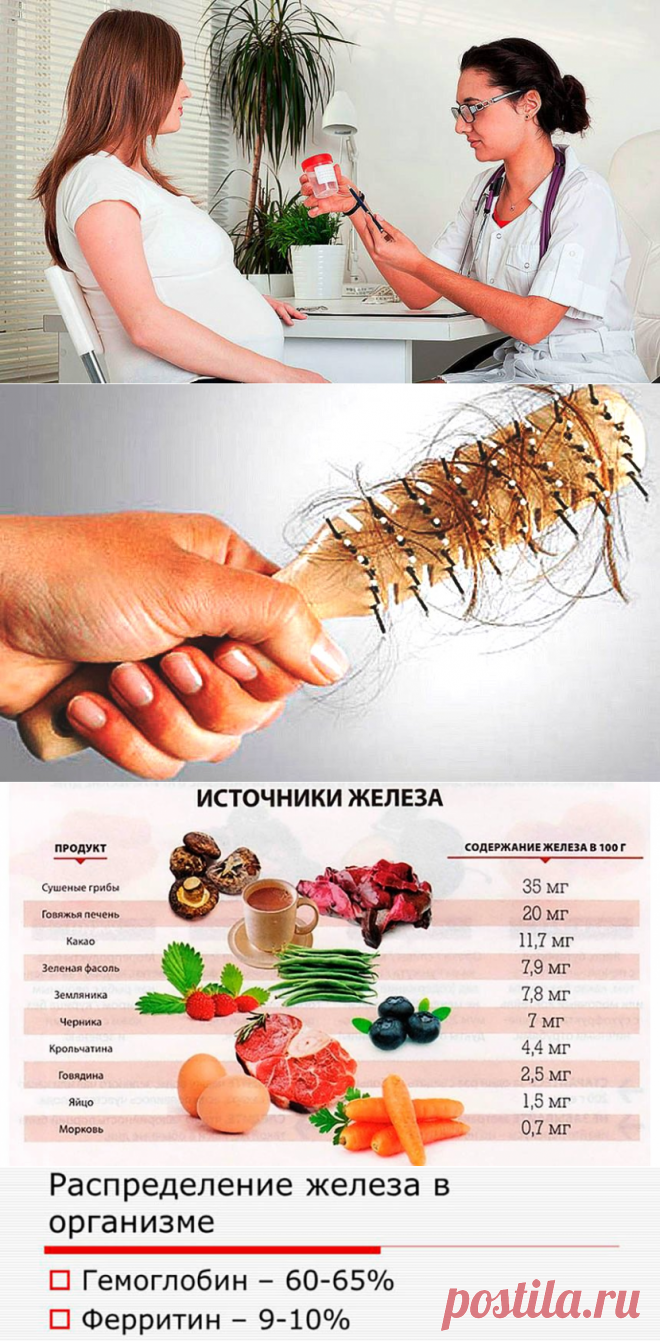 Ферритин и выпадение волос при анемии