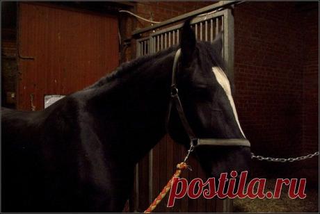 Народные приметы: 1 ноября - Погода на Joinfo.ua