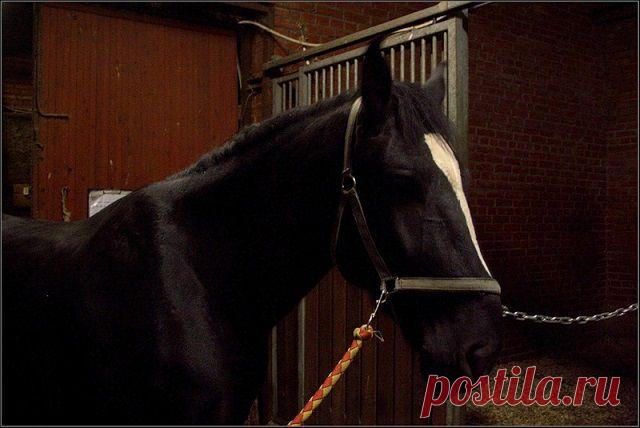 Народные приметы: 1 ноября - Погода на Joinfo.ua