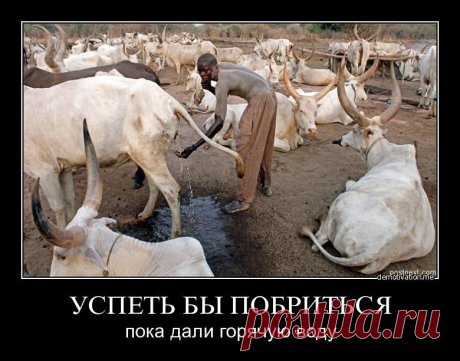 Мой Мир@Mail.Ru