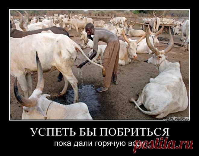 Мой Мир@Mail.Ru