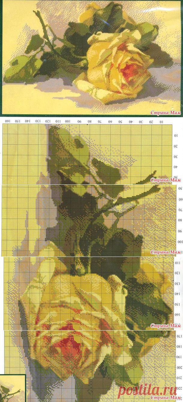 Желтая роза (схема) - Вышивка и все о ней - Страна Мам
