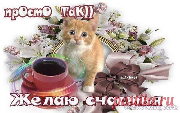 Одноклассники
