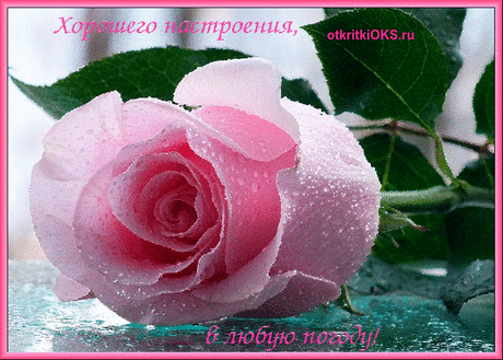 Картинки «Хорошего настроения в любую погоду!» (20 фото) ⭐ Забавник