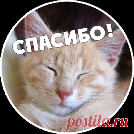 Идеи с губкой для мытья посуды | OK.RU