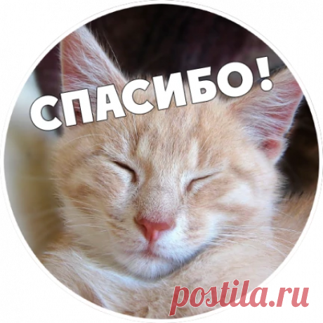 Идеи с губкой для мытья посуды | OK.RU