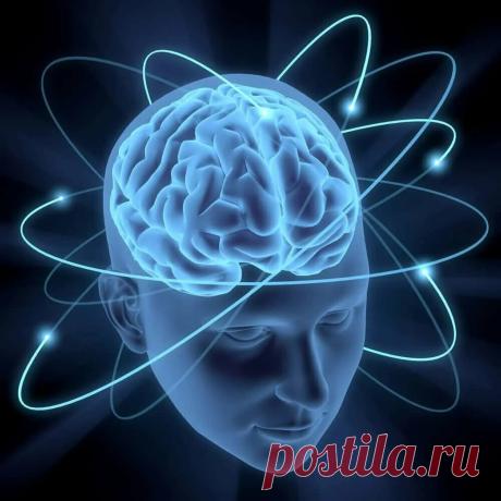 8 ΡΠΏΠΎΡΠΎΠ±ΠΎΠ² ΡΡΠ΅Π½ΠΈΡΠΎΠ²Π°ΡΡ ΡΠ²ΠΎΠΉ ΠΌΠΎΠ·Π³, ΡΡΠΎΠ±Ρ ΡΡΠΈΡΡΡΡ Π±ΡΡΡΡΠ΅Π΅