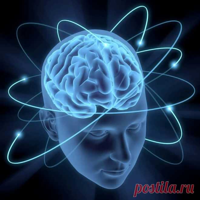 8 способов тренировать свой мозг, чтобы учиться быстрее