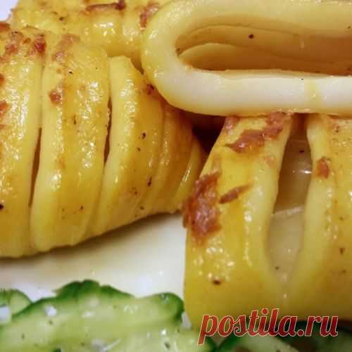 Кальмары Концертино от Ольги Деффи