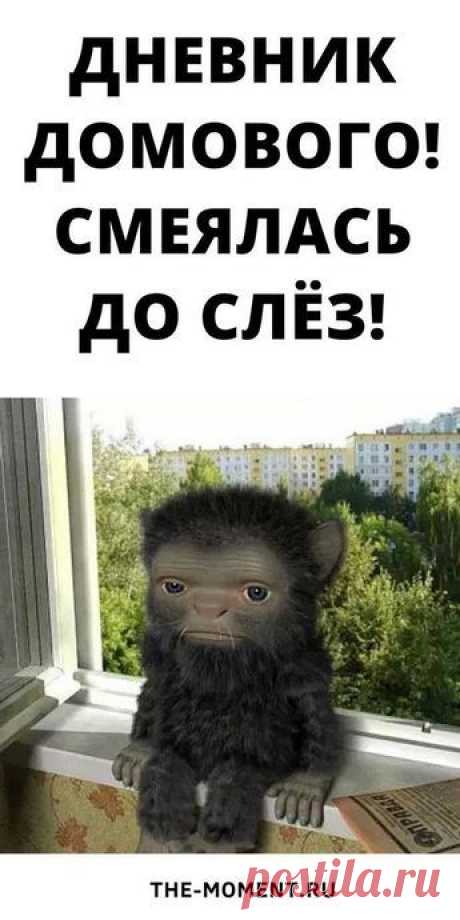 Дневник Домового! Смеялась До Слёз!