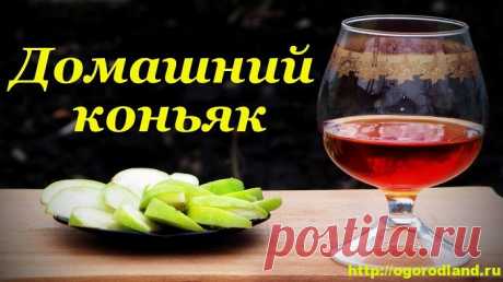 Рецепт домашнего коньяка