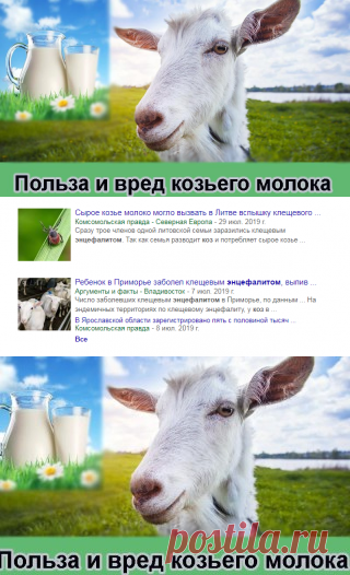 Польза и вред козьего молока - мифы и научные факты