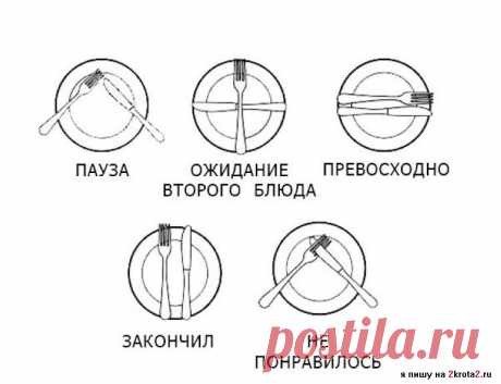 сигналы окончания трапезы