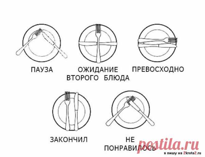 сигналы окончания трапезы