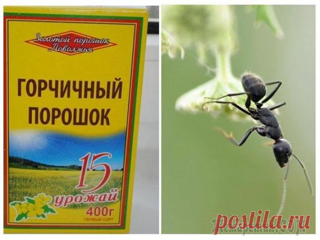 Блог сайта «Самоцветик»