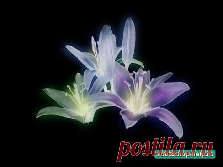 Как раскрасить кисть в фотошопе. Подробный урок » Уроки фотошопа - Все для Adobe Photoshop / Photoshop-help.ru
