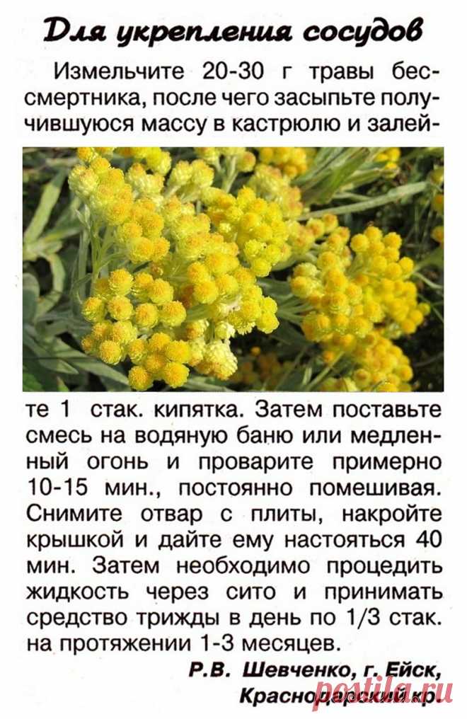 Для укрепления сосудов