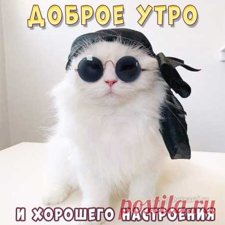 Озорной и теплый лучик,
Осветил твою кровать,
Я к тебе спешу с улыбкой
Доброго утра желать.